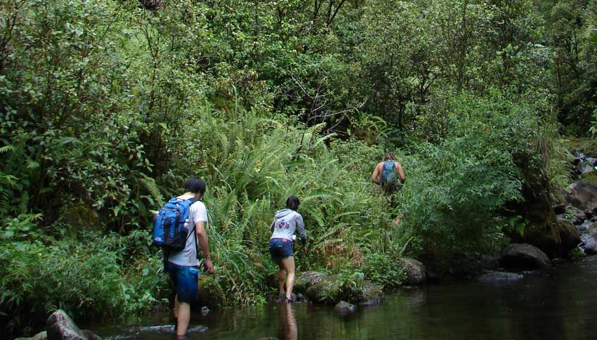 Finding the Trail Right Way
