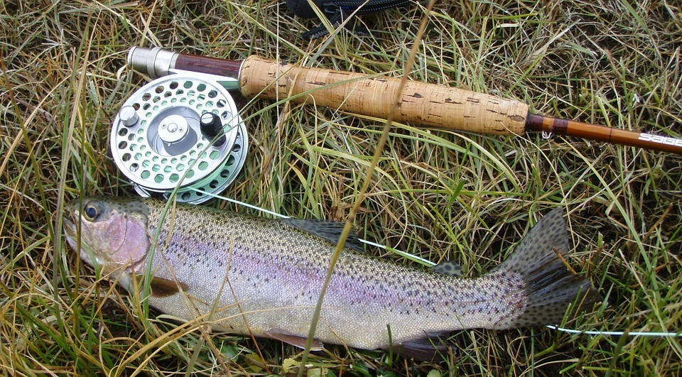 Better trout fishing fly position