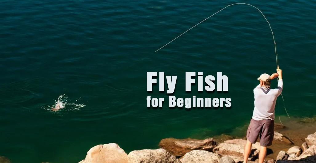 How to Fly Fish for Beginners A Complete Guide and Tutorial