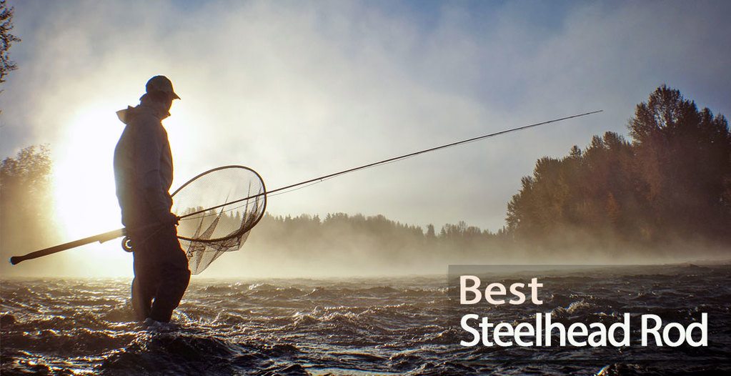 Best Steelhead Rod for Salmon