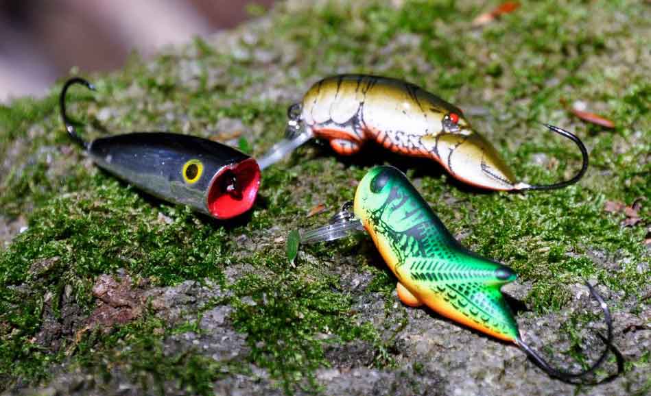 Tackle for Trout Fishing