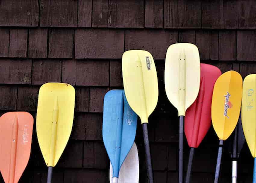 Best Cheap Paddle for Kayaking