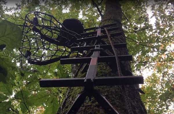 Different Types of Climbing Sticks and Treestands