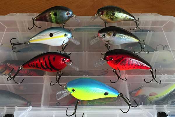 Which Color of the Crankbaits Do You want