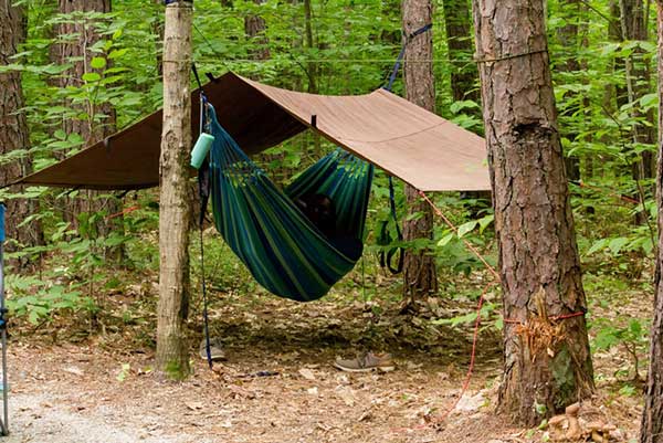 Best Camping Tarp for Hammock and Tent